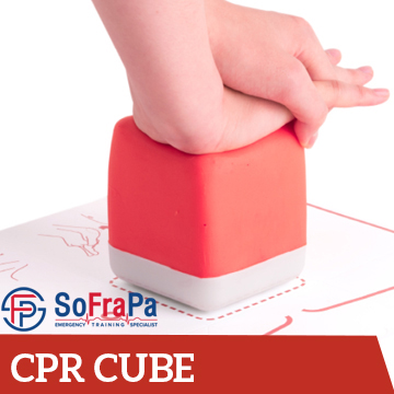 SOFRAPA (cpr cube) 350 x 350 - partners