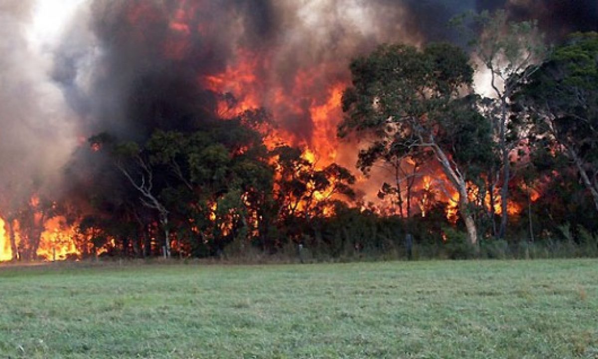 どのように山火事を防ぐために 植生の燃焼に関するオーストラリアのガイドライン