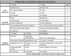 Patient's state of consciousness: the Glasgow Coma Scale (GCS)